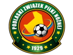 logo zpn